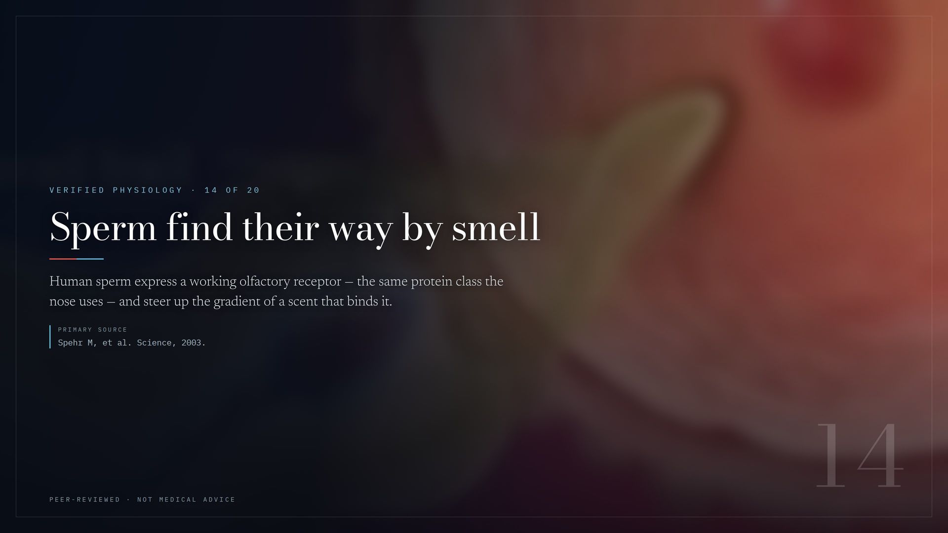 Medical fun fact 14 of 20